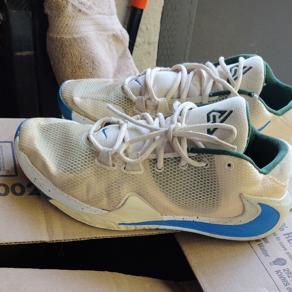 Nike Zoom Freak 1